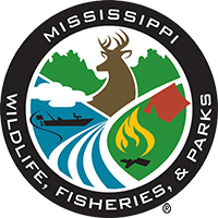 WFP Icon